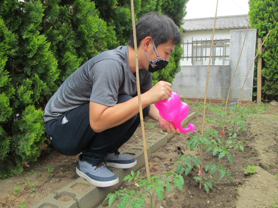 【日常の一コマ】生活介護事業「ブルーベリー」で野菜栽培してみました。